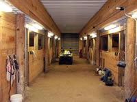 Finished Horse Stalls / Barn