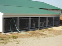Dog Kennel.